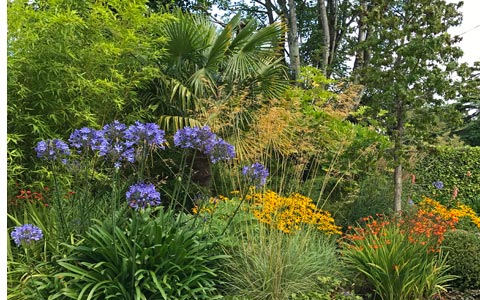 Soft textures and bright colours create a relaxed atmosphere in this informal planting design.