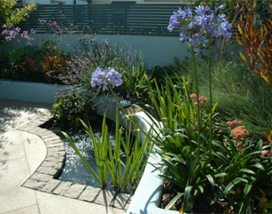 Focal point water feature in Dublin garden design